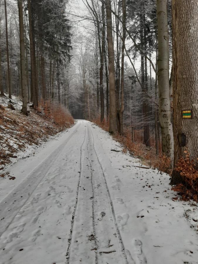 Chalupa Sedmidvory Vernířovice Dış mekan fotoğraf